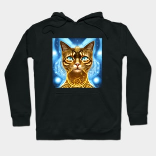 Alien Cat Hoodie